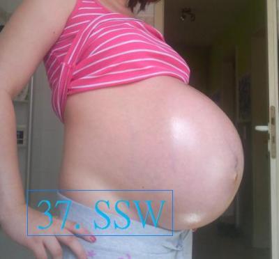 Bild zu Wann platze ich?? Wer macht mit? - Forum für August - Mamis