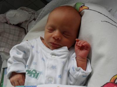 Bild zu hier unsere maus - Forum für August - Mamis