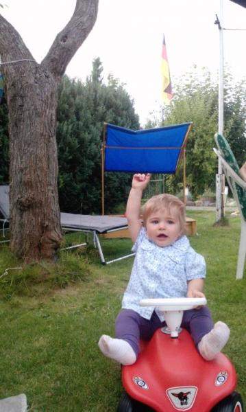 Bild zu 