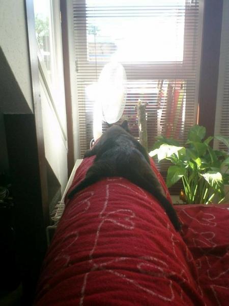 Bild zu 