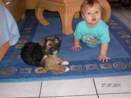 Bild zu 