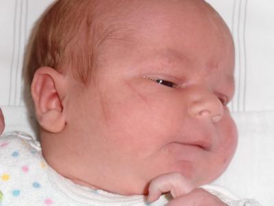 Bild zu Wenn ich dann vorstellen dürfte... - Forum für August - Mamis