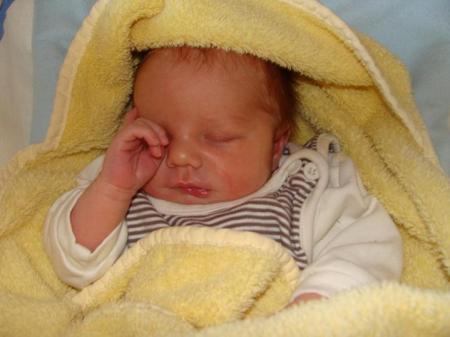 Bild zu