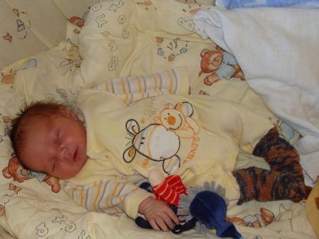 Bild zu