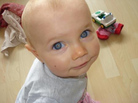 Bild zu 