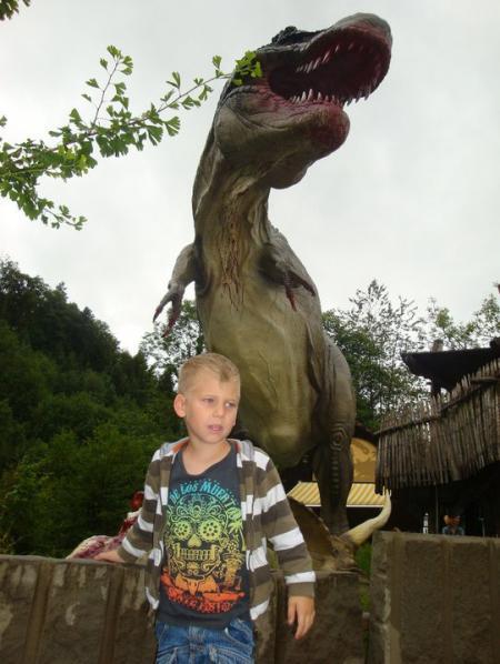 Bild zu 