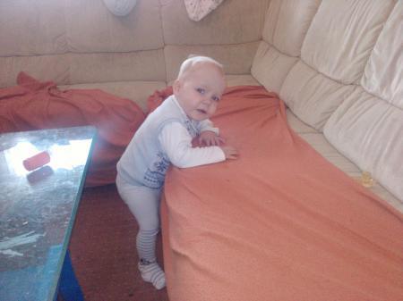 Bild zu