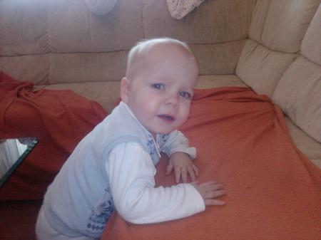 Bild zu
