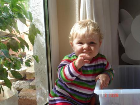 Bild zu