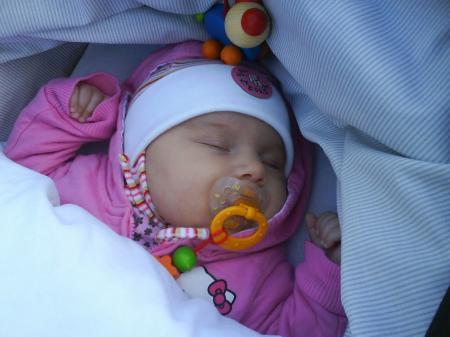 Bild zu 