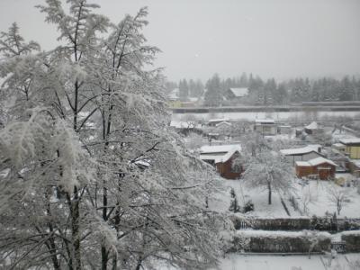 Bild zu Ich bringe mal bissi Schnee hier rein------ mit Bild - Forum für August - Mamis