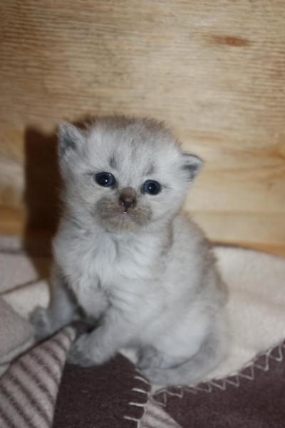 Bild zu Hier mal neue Foto´s... - Forum für August - Mamis