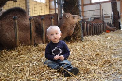 Bild zu Heut war so ein wunderschöner Tag.... - Forum für August - Mamis