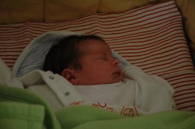 Bild zu Maarten - Forum für August - Mamis