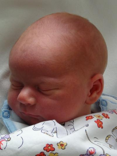 Bild zu Hier kommt Alex ! - Forum für August - Mamis