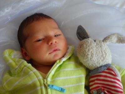 Bild zu Wieder ein Bildchen von unserem Paul! - Forum für August - Mamis