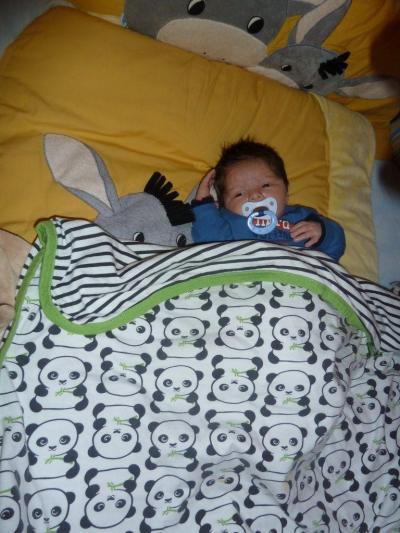 Bild zu Paul Luis vor ca. 2 std. - Forum für August - Mamis