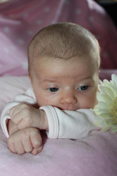 Bild zu Meine Maus hat... - Forum für August - Mamis