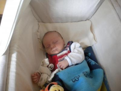 Bild zu Mal was neues von Paul - Forum für August - Mamis