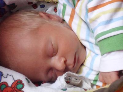 Bild zu Umfrage............ - Forum für August - Mamis