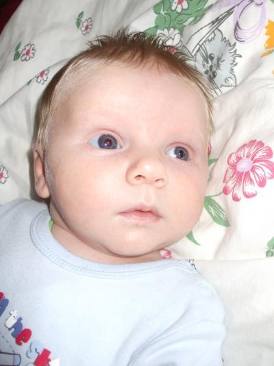 Bild zu Noah fast 7 Wochen...wo ist die Zeit nur hin? - Forum für August - Mamis