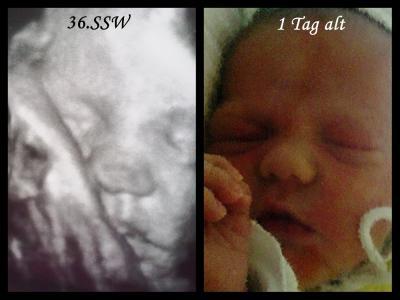 Bild zu Vergleich: US & Baby - Forum für August - Mamis