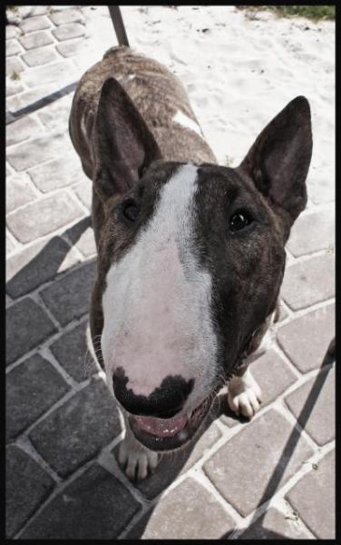 Bild zu Rayden..... - Forum für August - Mamis