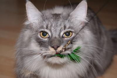 Bild zu nochmal Rayden... - Forum für August - Mamis