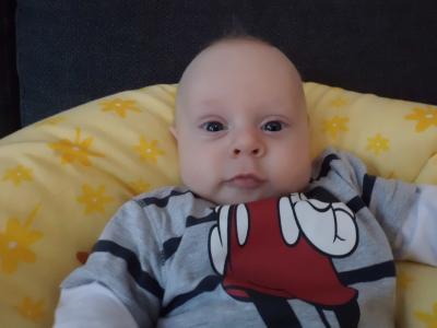 Bild zu Unser Schub scheint auch weg zu sein und Liam kann..... - Forum für August - Mamis