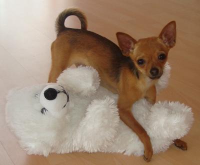 Bild zu bin bissl traurig :-( - Forum für August - Mamis