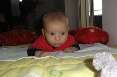 Bild zu Juhu, endlich mag er auf dem Bauch liegen... - Forum für August - Mamis