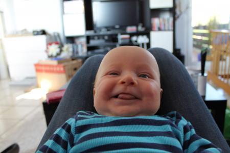 Bild zu