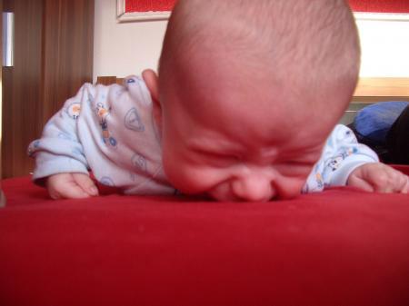 Bild zu 