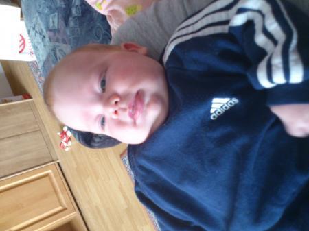Bild zu
