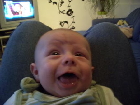 Bild zu