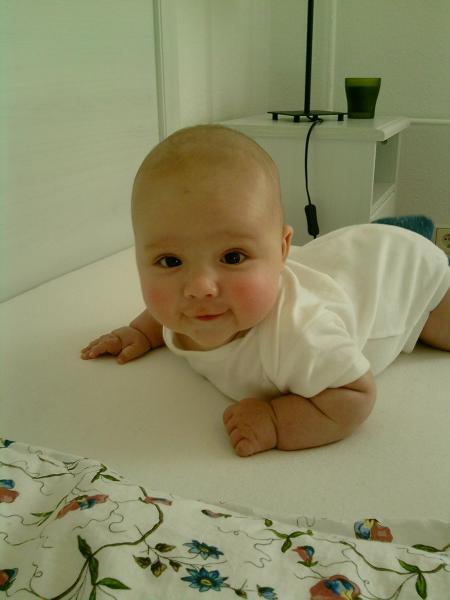 Bild zu