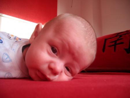 Bild zu
