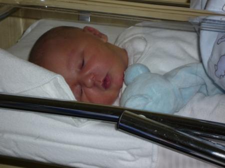 Bild zu