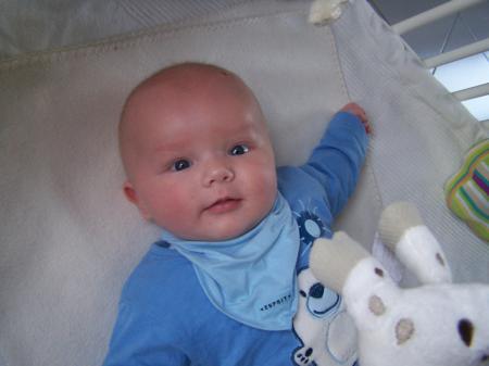 Bild zu 
