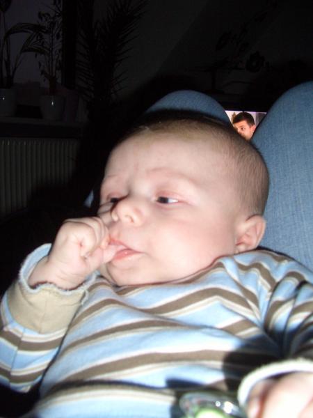 Bild zu