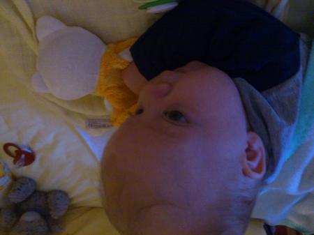 Bild zu 