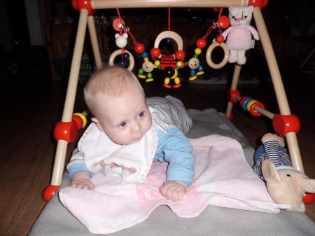 Bild zu