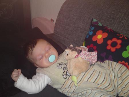 Bild zu 