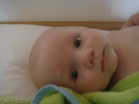 Bild zu 