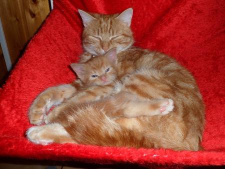Bild zu 