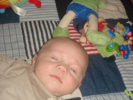 Bild zu