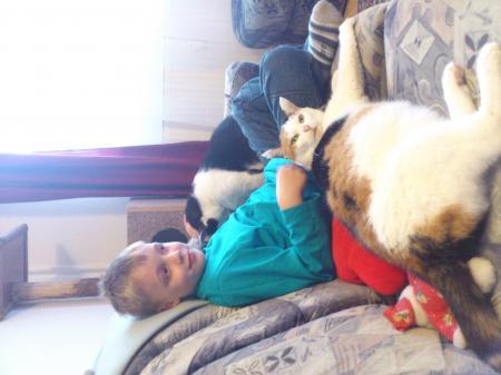 Bild zu