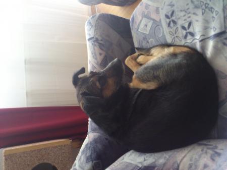 Bild zu