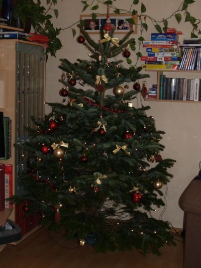 Bild zu unser Weihnachtsbaum - Forum für August - Mamis