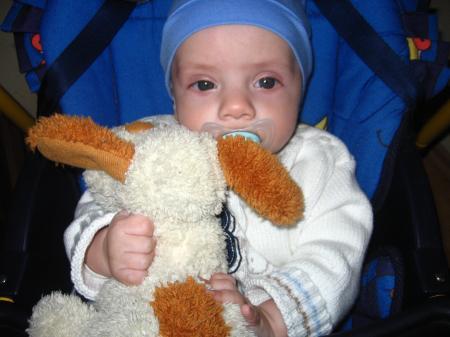 Bild zu 